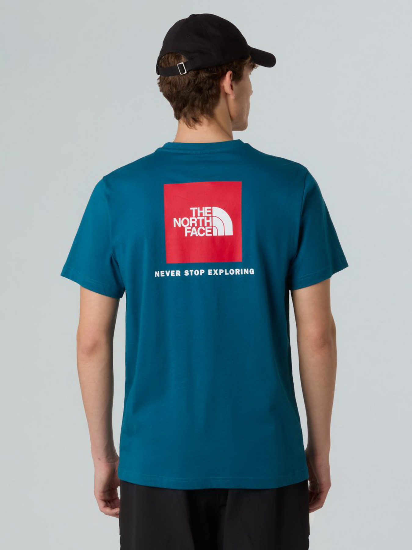 Футболка The North Face NSE Box модель NF0A87NPF9T1 Фото