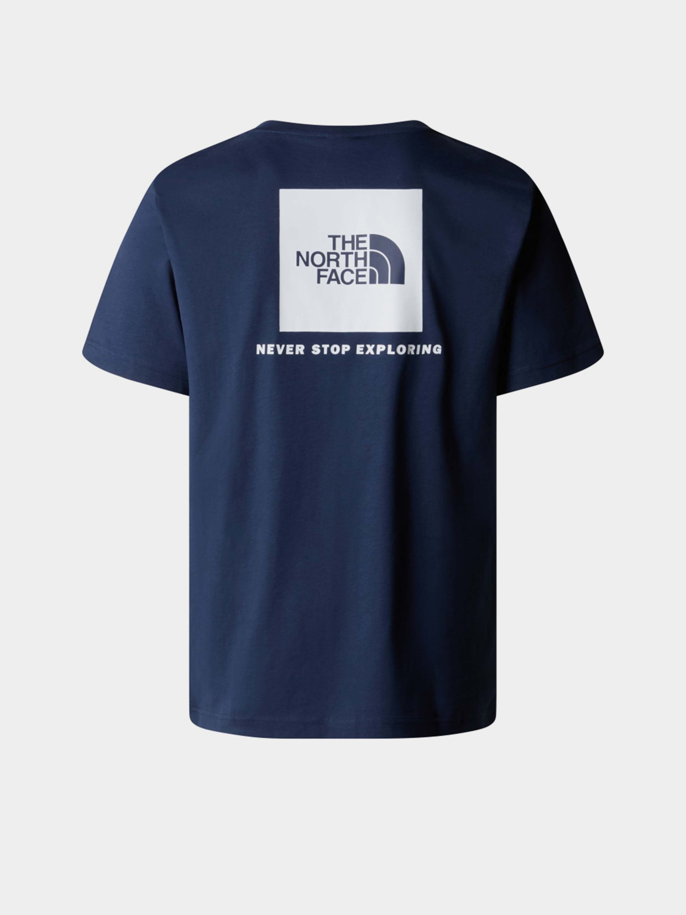 Футболка The North Face NSE Box модель NF0A87NPI851 Фото