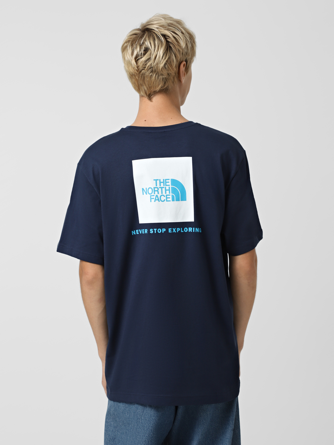 Футболка The North Face NSE Box модель NF0A87NPI851 Фото