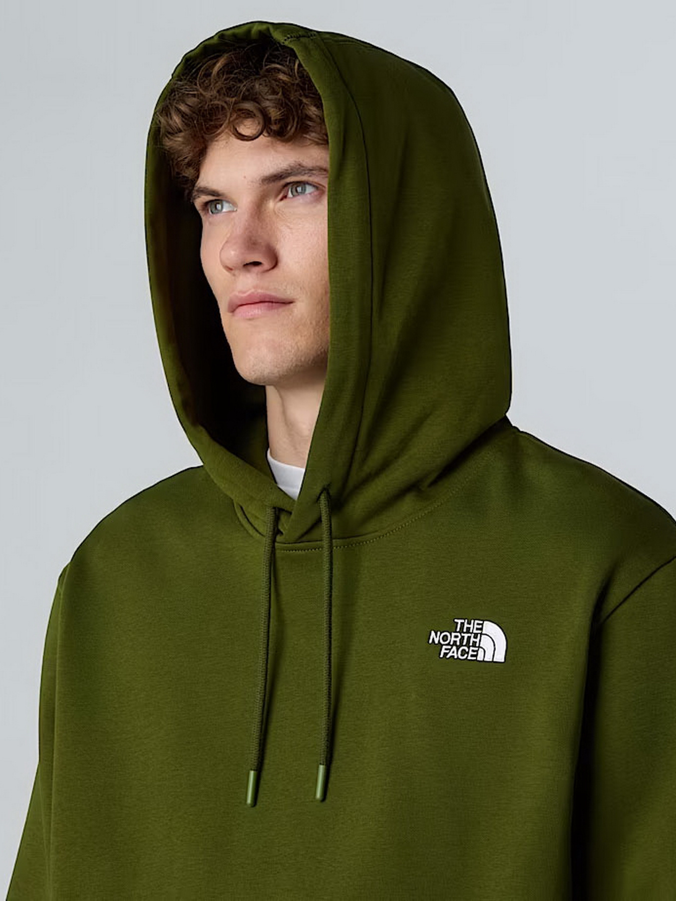 Худи The North Face Essential модель NF0A89ESBRI1 Фото