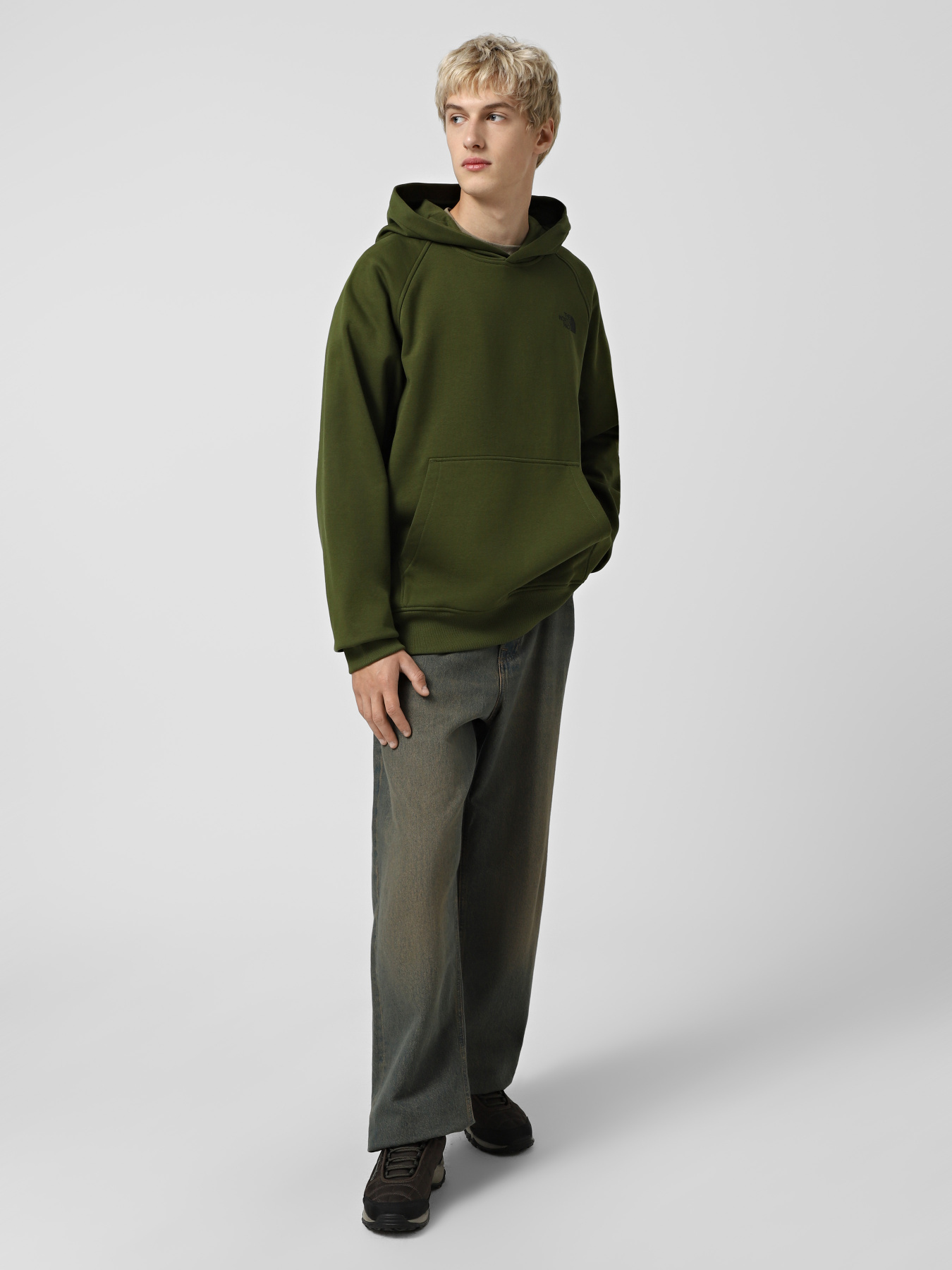 Худи The North Face Raglan Box NSE модель NF0A89F9DIW1 Фото