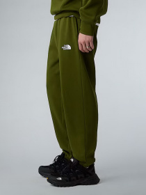 Брюки повседневные The North Face Essential модель NF0A8C1FBRI1 Фото