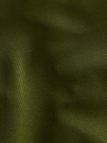 Брюки повседневные The North Face Essential модель NF0A8C1FBRI1 Фото