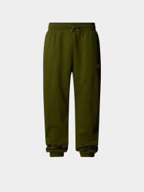 Спортивні штани The North Face Essential модель NF0A8C1FBRI1 Фото