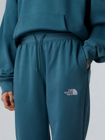 Брюки повседневные The North Face Essential модель NF0A8C1GBQ51 Фото