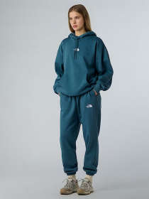 Повседневные штаны The North Face Essential модель NF0A8C1GBQ51 Фото