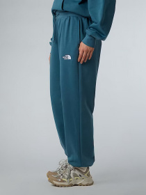 Повседневные штаны The North Face Essential модель NF0A8C1GBQ51 Фото