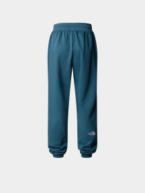 Повседневные штаны The North Face Essential модель NF0A8C1GBQ51 Фото