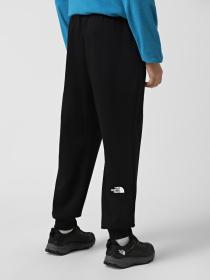 Брюки повседневные The North Face Fine модель NF0A8C1KJK31 Фото