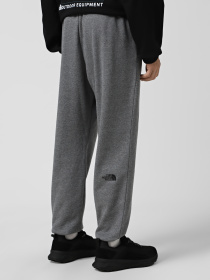 Брюки повседневные The North Face Simple Dome модель NF0A8C1WDYY1 Фото