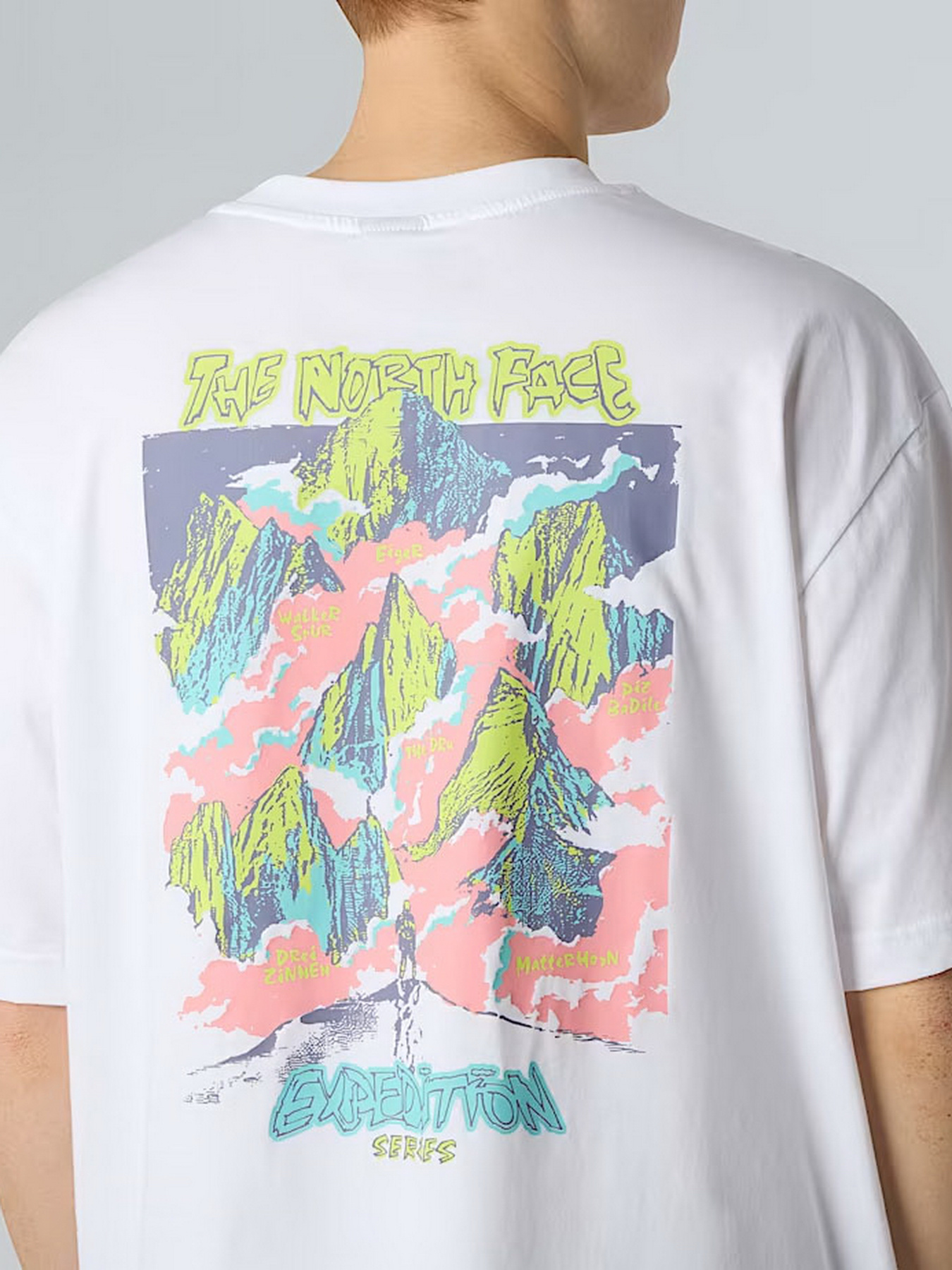 Футболка The North Face Expedition Celebration модель NF0A8E3CFN41 Фото