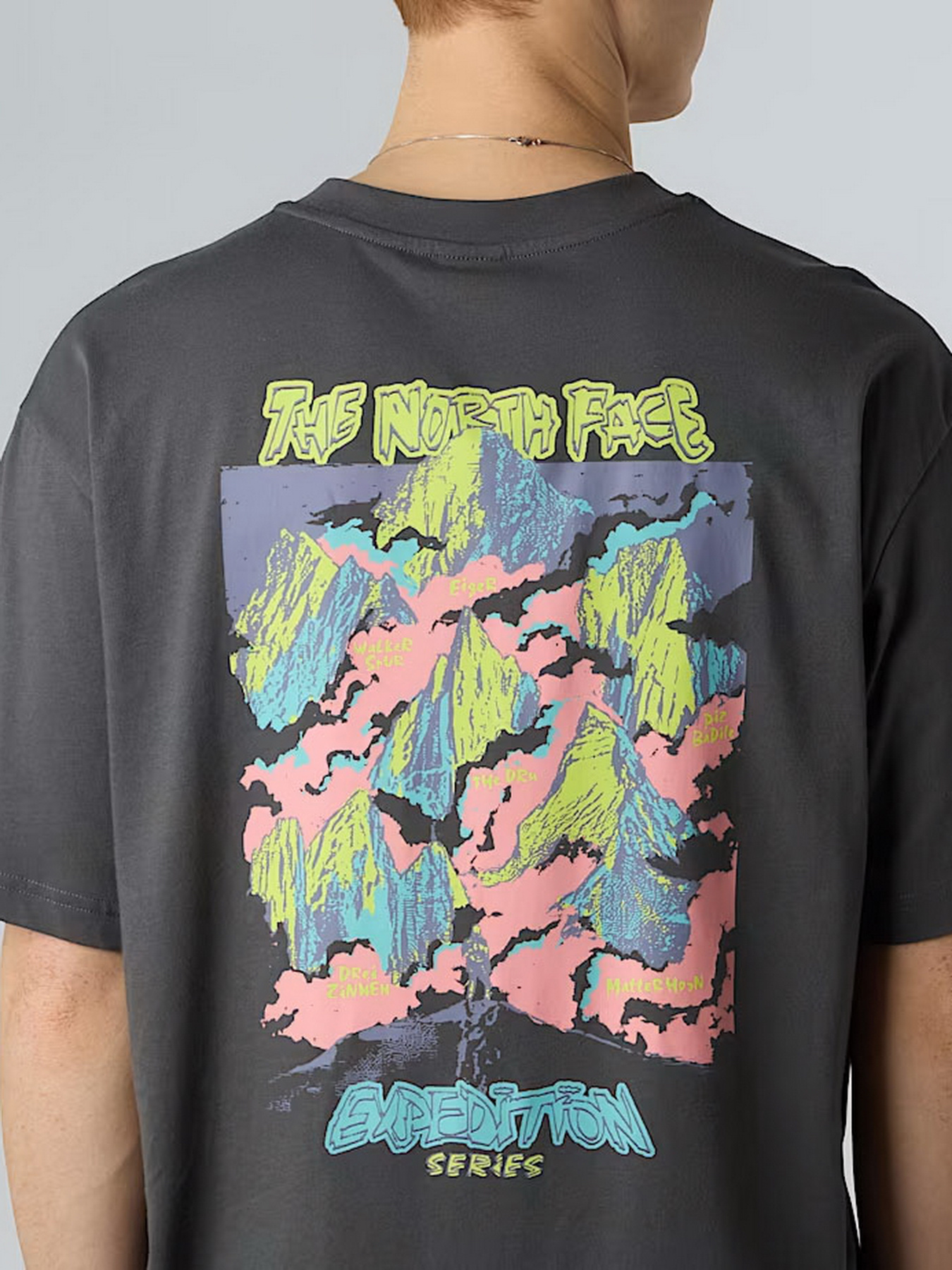 Футболка The North Face Expedition Celebration модель NF0A8E3CRHI1 Фото
