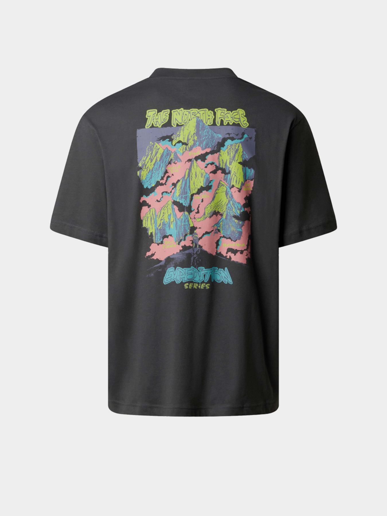 Футболка The North Face Expedition Celebration модель NF0A8E3CRHI1 Фото