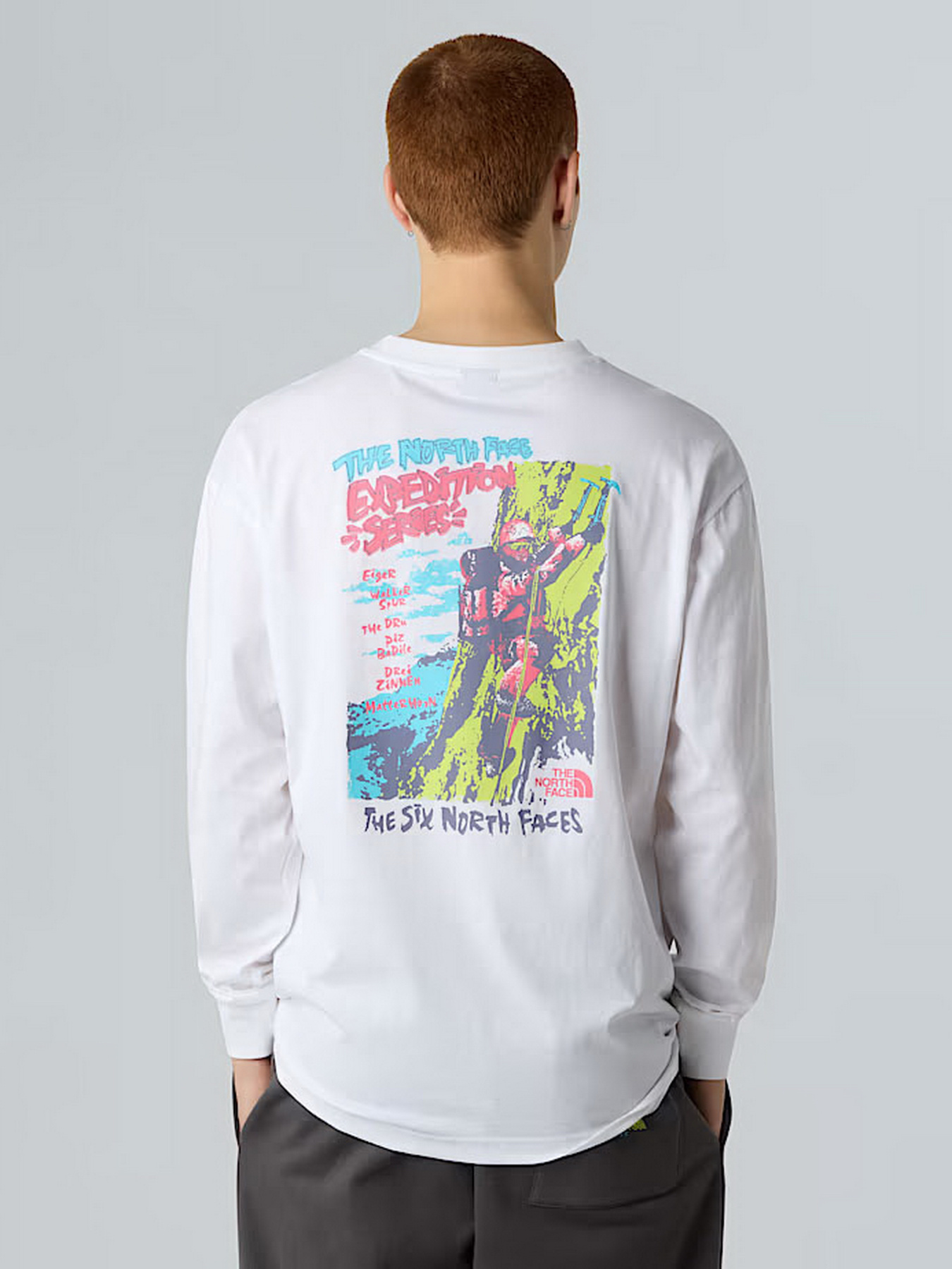 Лонгслив The North Face Expedition Celebration модель NF0A8E3DFN41 Фото