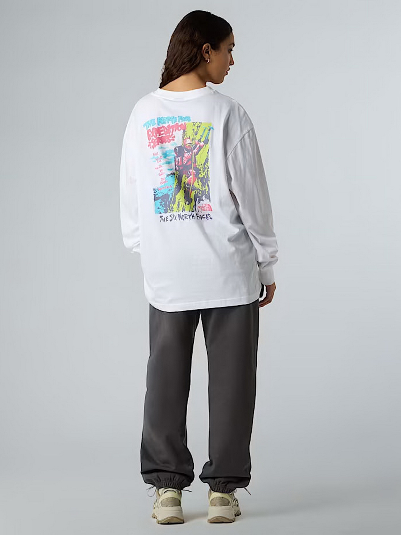 Лонгслив The North Face Expedition Celebration модель NF0A8E3DFN41 Фото