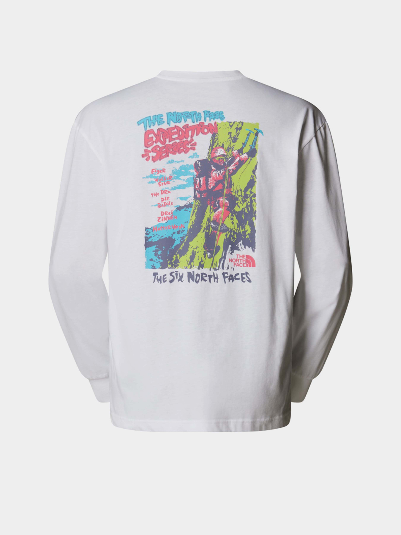 Лонгслив The North Face Expedition Celebration модель NF0A8E3DFN41 Фото