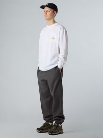 Лонгслив The North Face Expedition Celebration модель NF0A8E3DFN41 Фото