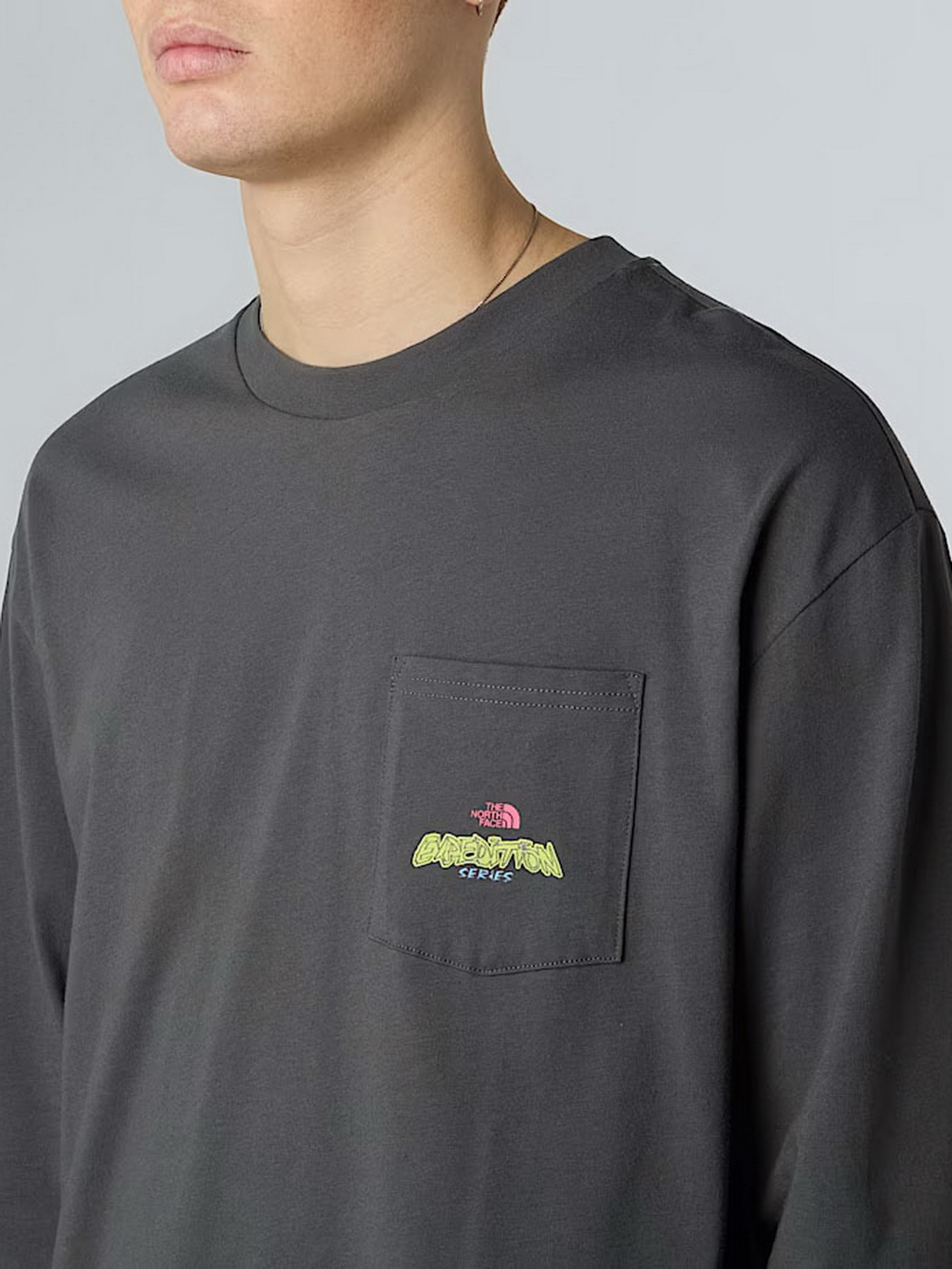 Лонгслив The North Face Expedition Celebration модель NF0A8E3DRHI1 Фото