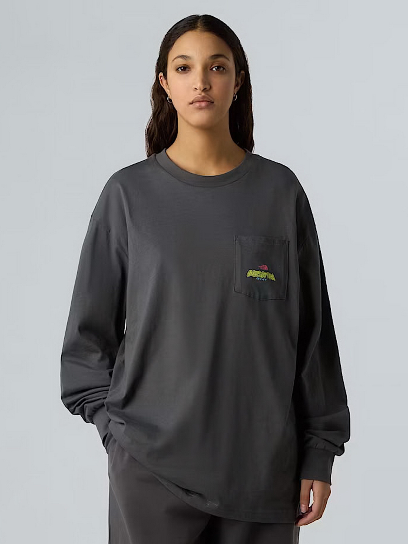 Лонгслив The North Face Expedition Celebration модель NF0A8E3DRHI1 Фото