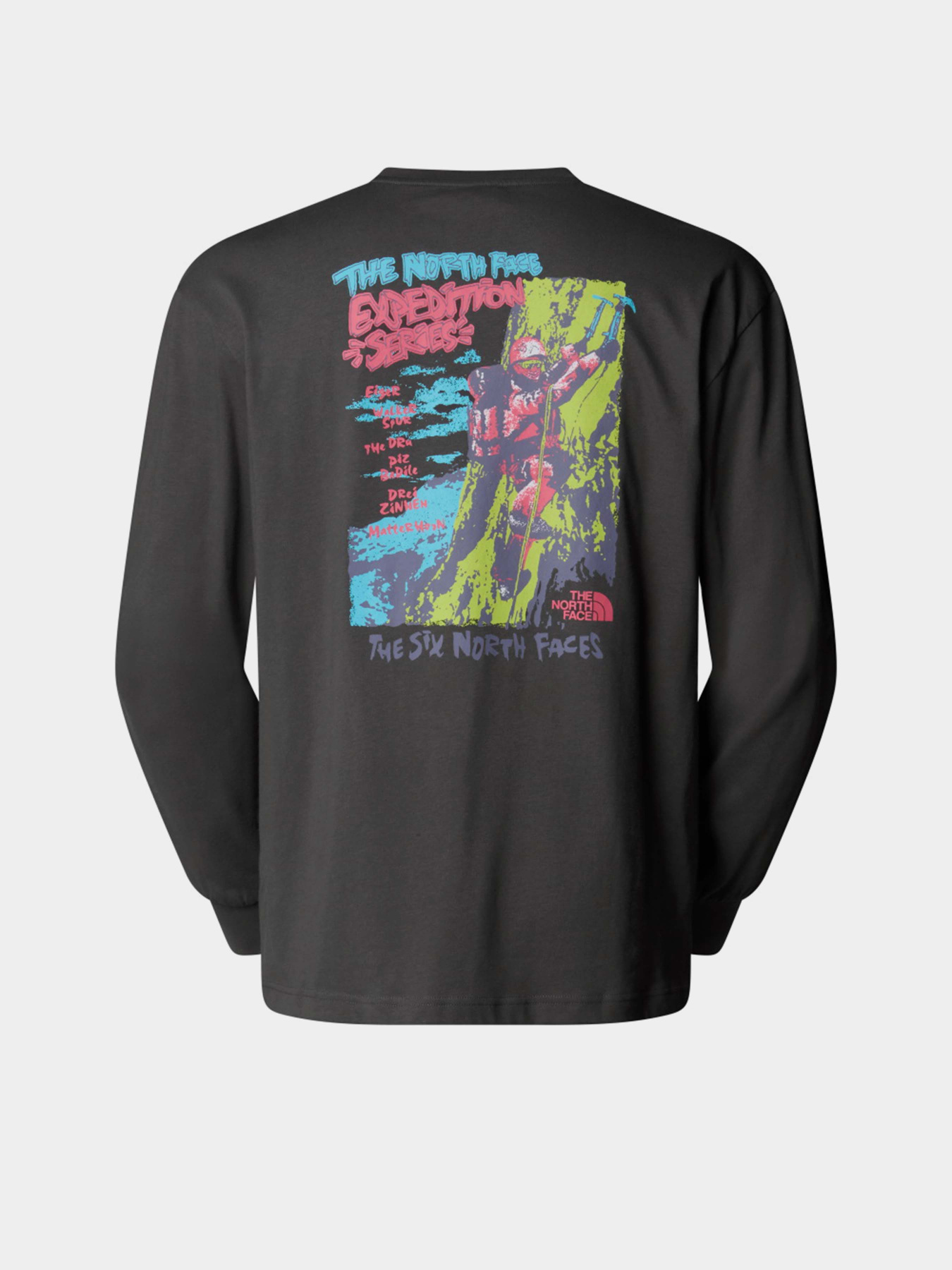 Лонгслів The North Face Expedition Celebration модель NF0A8E3DRHI1 Фото