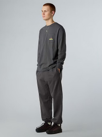 Лонгслів The North Face Expedition Celebration модель NF0A8E3DRHI1 Фото