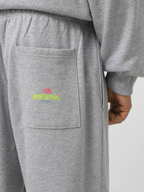 Брюки повседневные The North Face Expedition Celebration модель NF0A8E3EDYX1 Фото