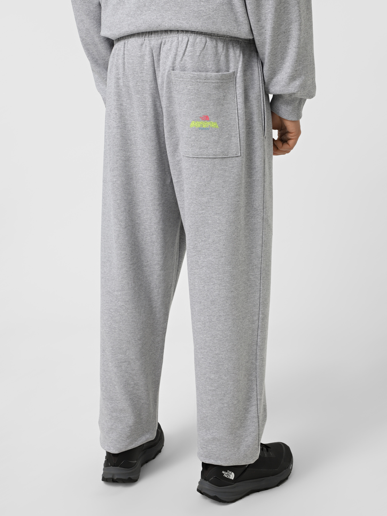 Джогери The North Face Expedition Celebration модель NF0A8E3EDYX1 Фото