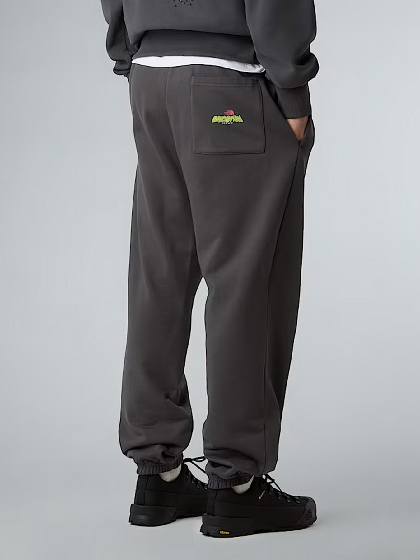 Брюки повседневные The North Face Expedition Celebration модель NF0A8E3ERHI1 Фото