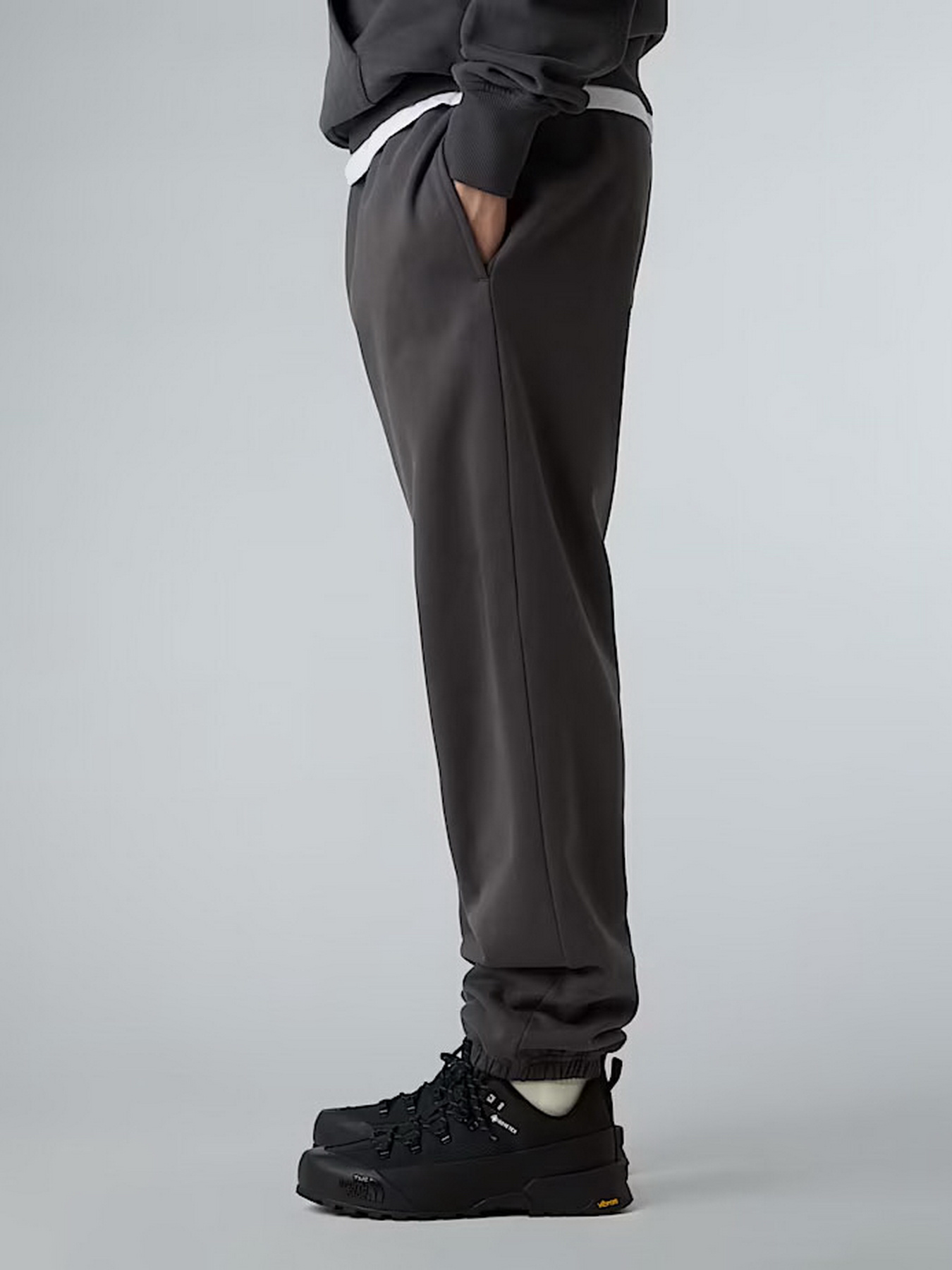 Джогери The North Face Expedition Celebration модель NF0A8E3ERHI1 Фото