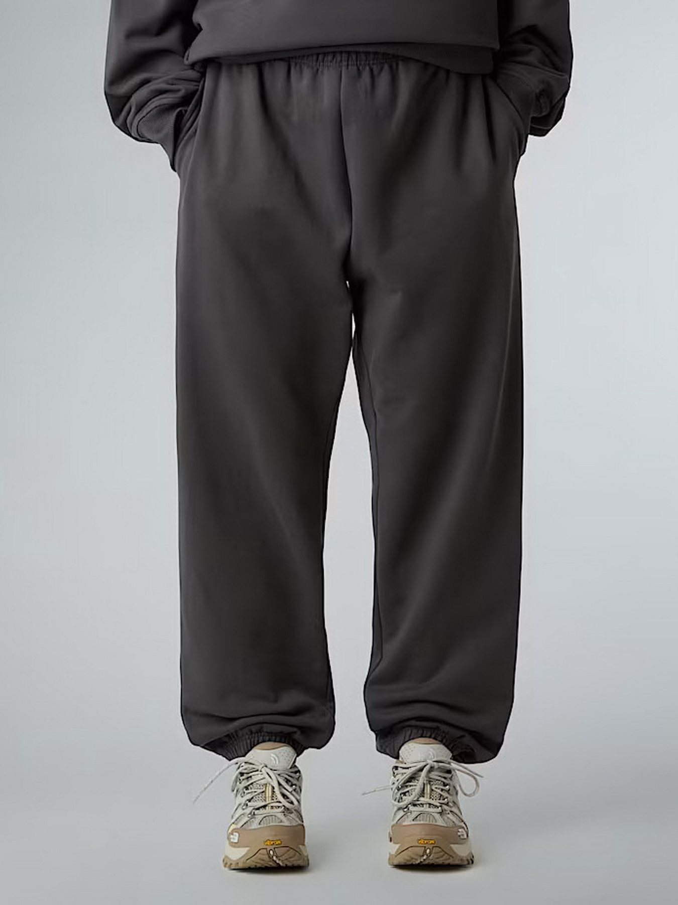 Джогери The North Face Expedition Celebration модель NF0A8E3ERHI1 Фото