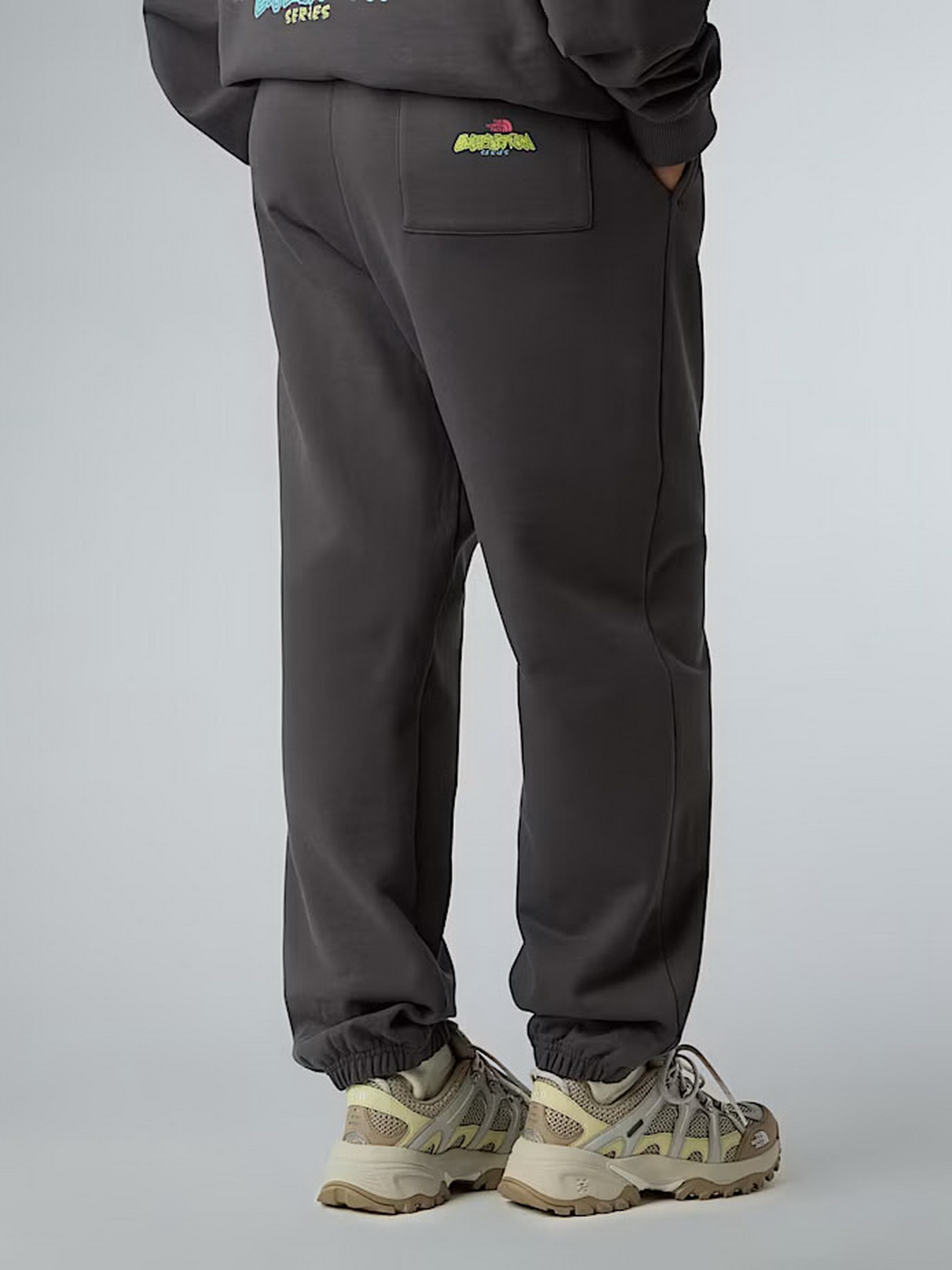 Джогери The North Face Expedition Celebration модель NF0A8E3ERHI1 Фото