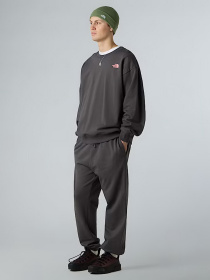 Джогери The North Face Expedition Celebration модель NF0A8E3ERHI1 Фото