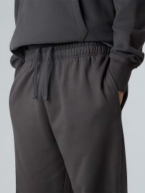 Джогери The North Face Expedition Celebration модель NF0A8E3ERHI1 Фото