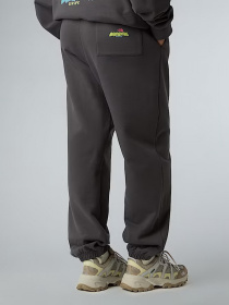 Джогери The North Face Expedition Celebration модель NF0A8E3ERHI1 Фото