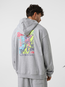 Худи The North Face Expedition Celebration модель NF0A8E3FDYX1 Фото