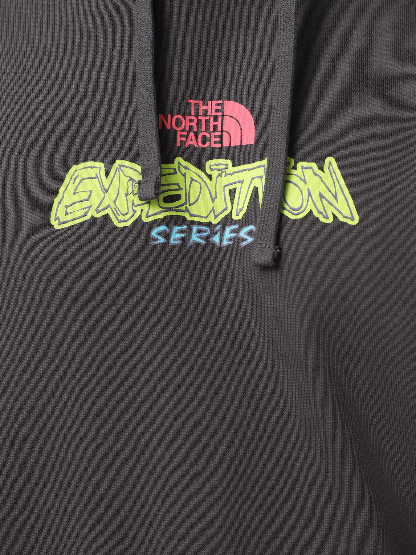 Худи The North Face Expedition Celebration модель NF0A8E3FRHI1 Фото