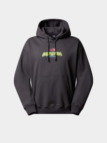 Худи The North Face Expedition Celebration модель NF0A8E3FRHI1 Фото