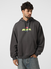 Худи The North Face Expedition Celebration модель NF0A8E3FRHI1 Фото