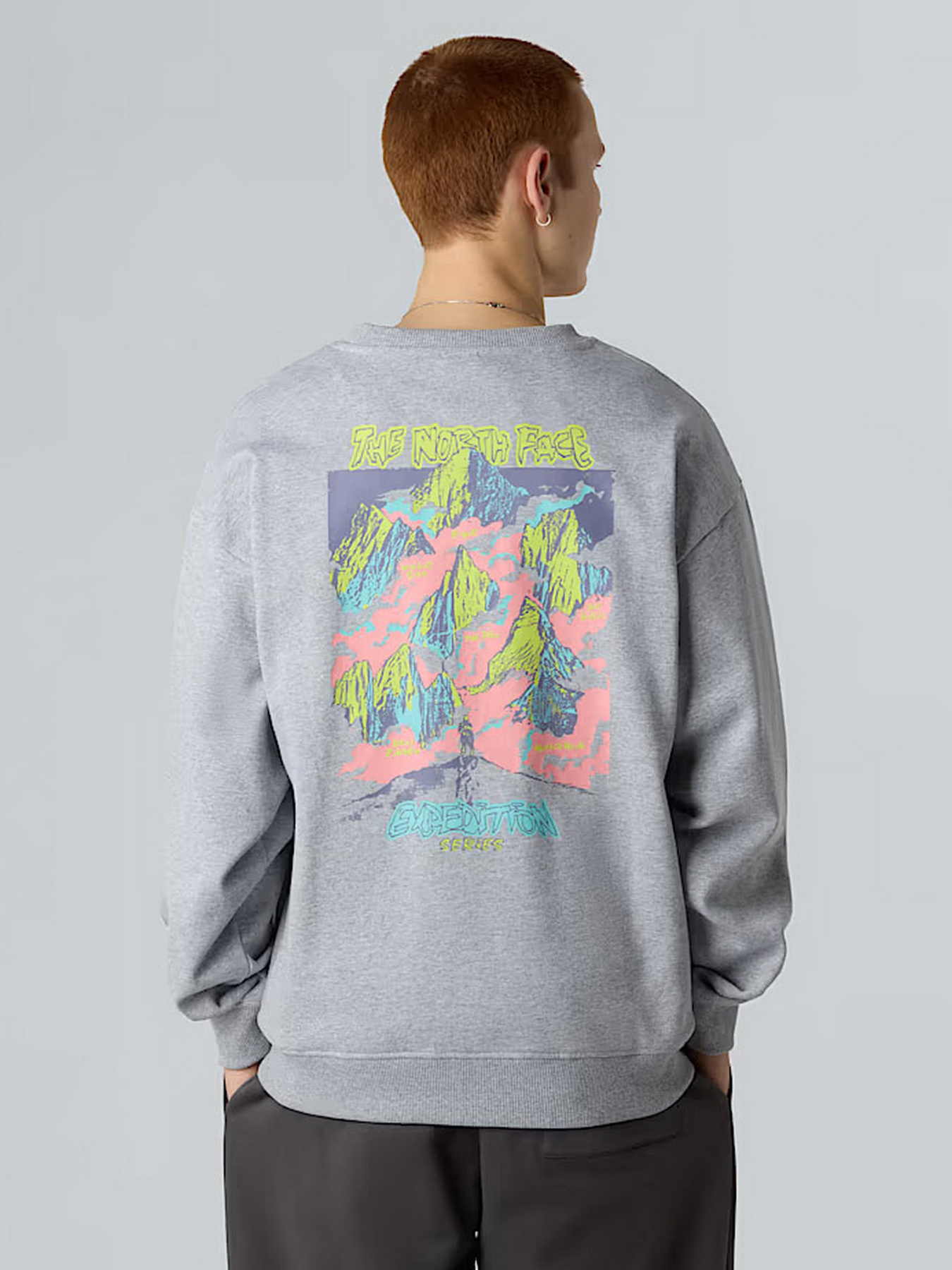 Свитшот The North Face Expedition Celebration модель NF0A8E3GDYX1 Фото