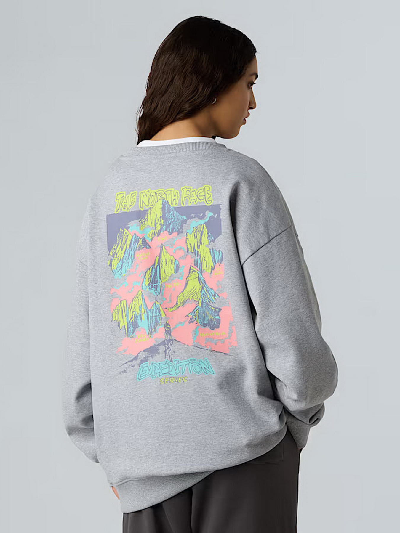Свитшот The North Face Expedition Celebration модель NF0A8E3GDYX1 Фото