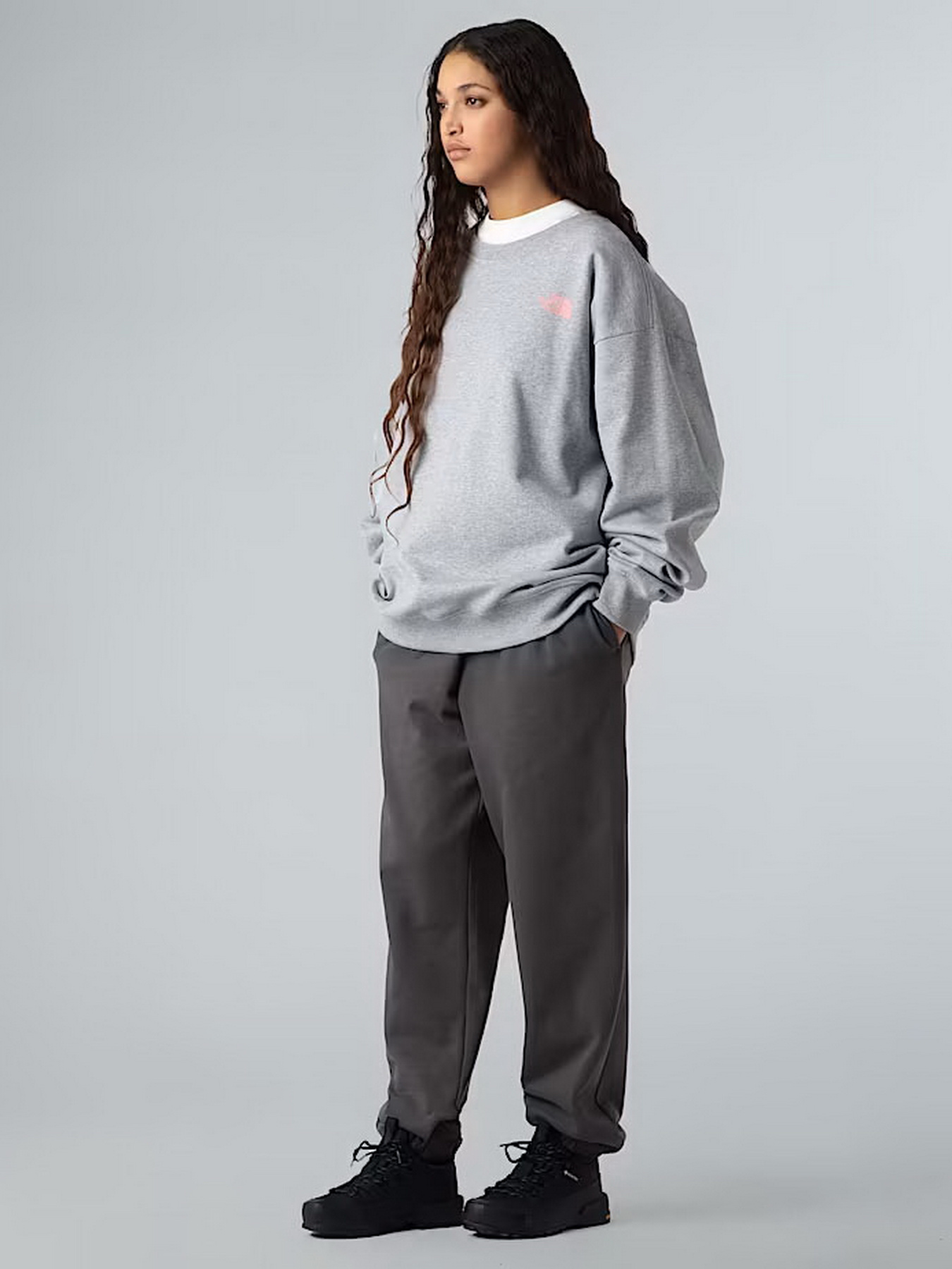 Свитшот The North Face Expedition Celebration модель NF0A8E3GDYX1 Фото