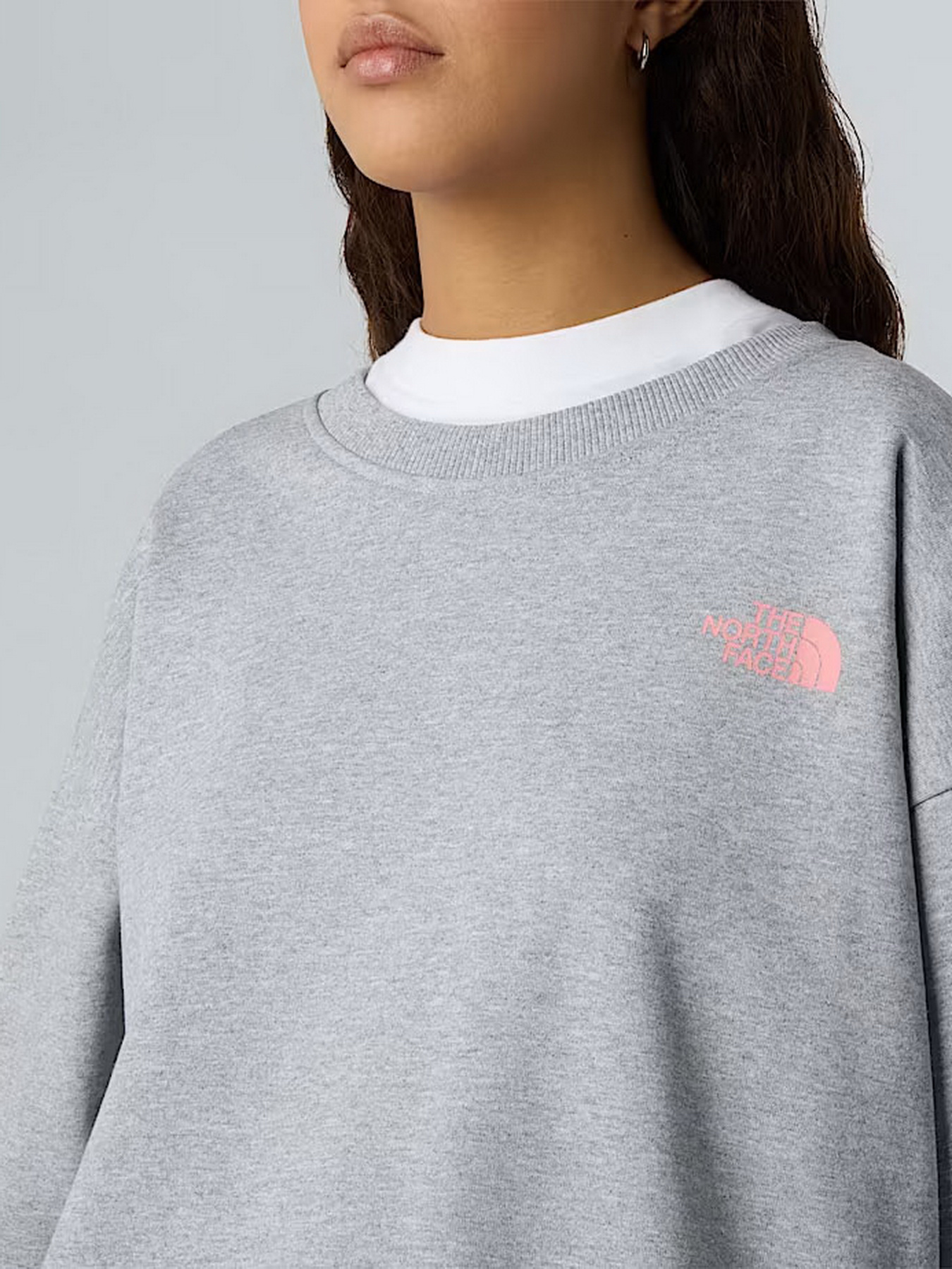 Свитшот The North Face Expedition Celebration модель NF0A8E3GDYX1 Фото