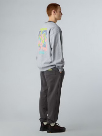 Свитшот The North Face Expedition Celebration модель NF0A8E3GDYX1 Фото