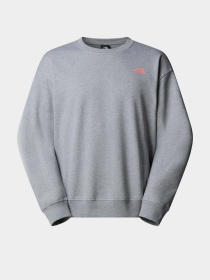 Свитшот The North Face Expedition Celebration модель NF0A8E3GDYX1 Фото