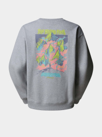 Свитшот The North Face Expedition Celebration модель NF0A8E3GDYX1 Фото