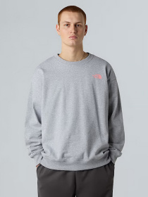 Свитшот The North Face Expedition Celebration модель NF0A8E3GDYX1 Фото