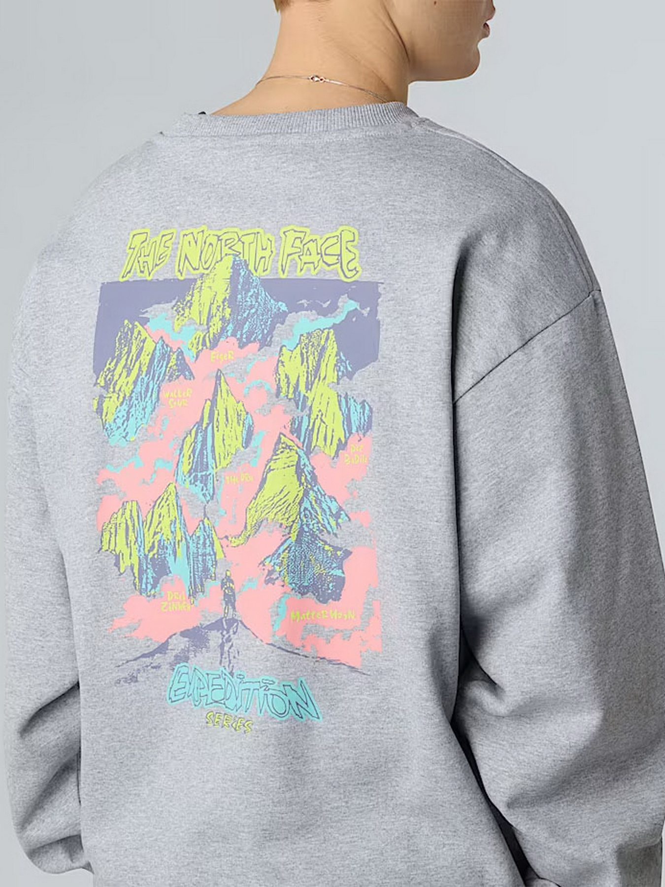 Свитшот The North Face Expedition Celebration модель NF0A8E3GDYX1 Фото