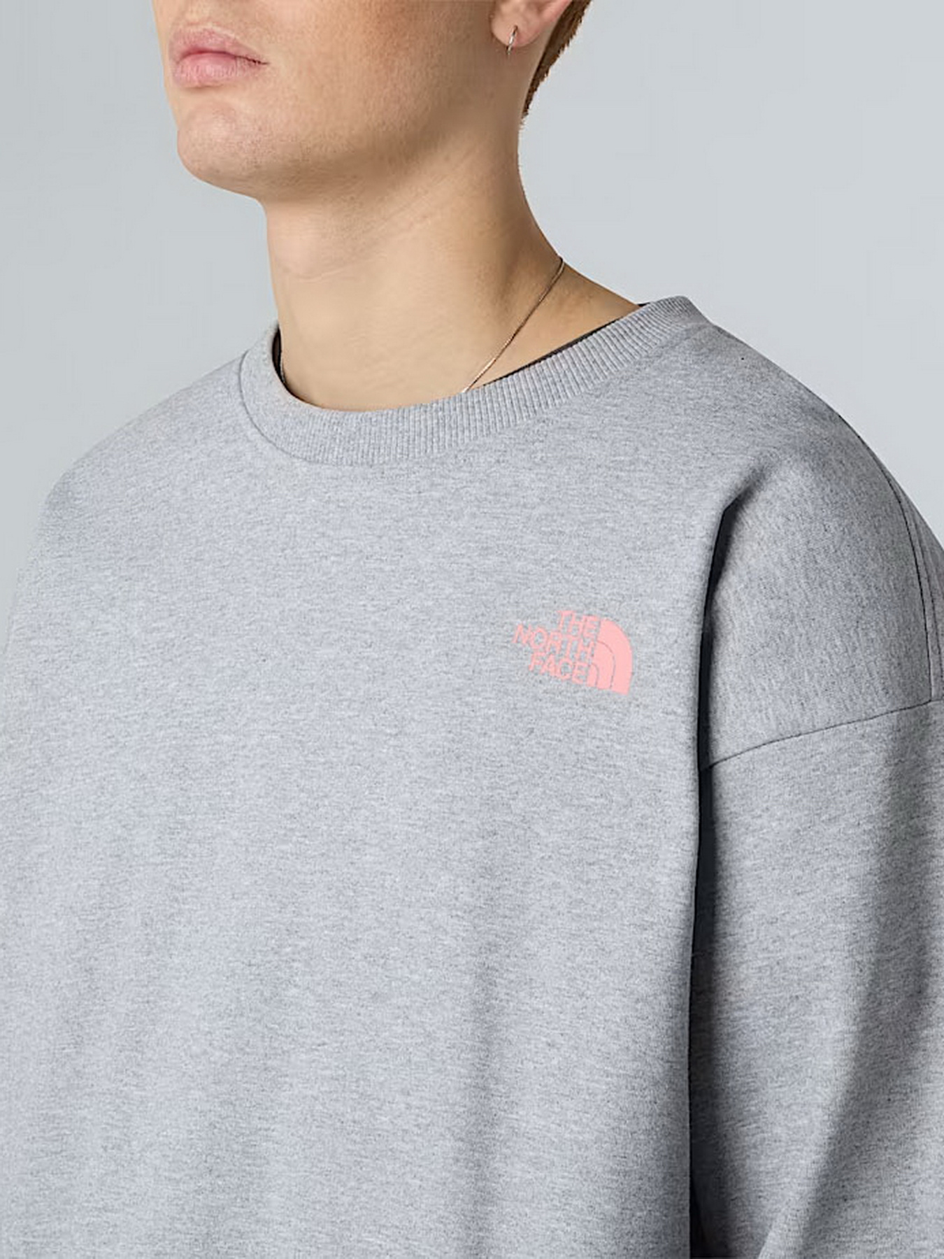 Свитшот The North Face Expedition Celebration модель NF0A8E3GDYX1 Фото