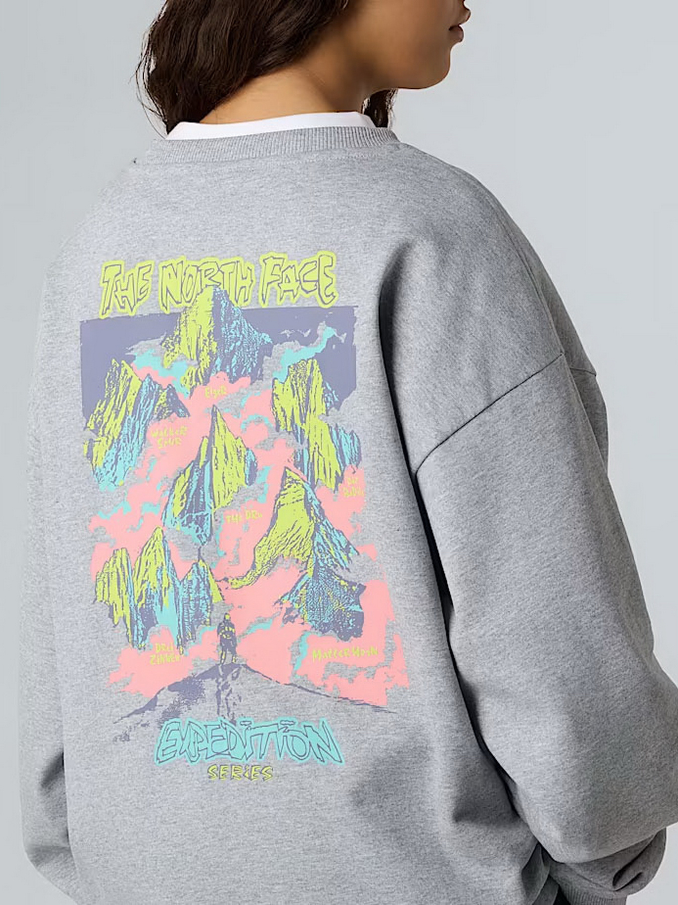 Свитшот The North Face Expedition Celebration модель NF0A8E3GDYX1 Фото