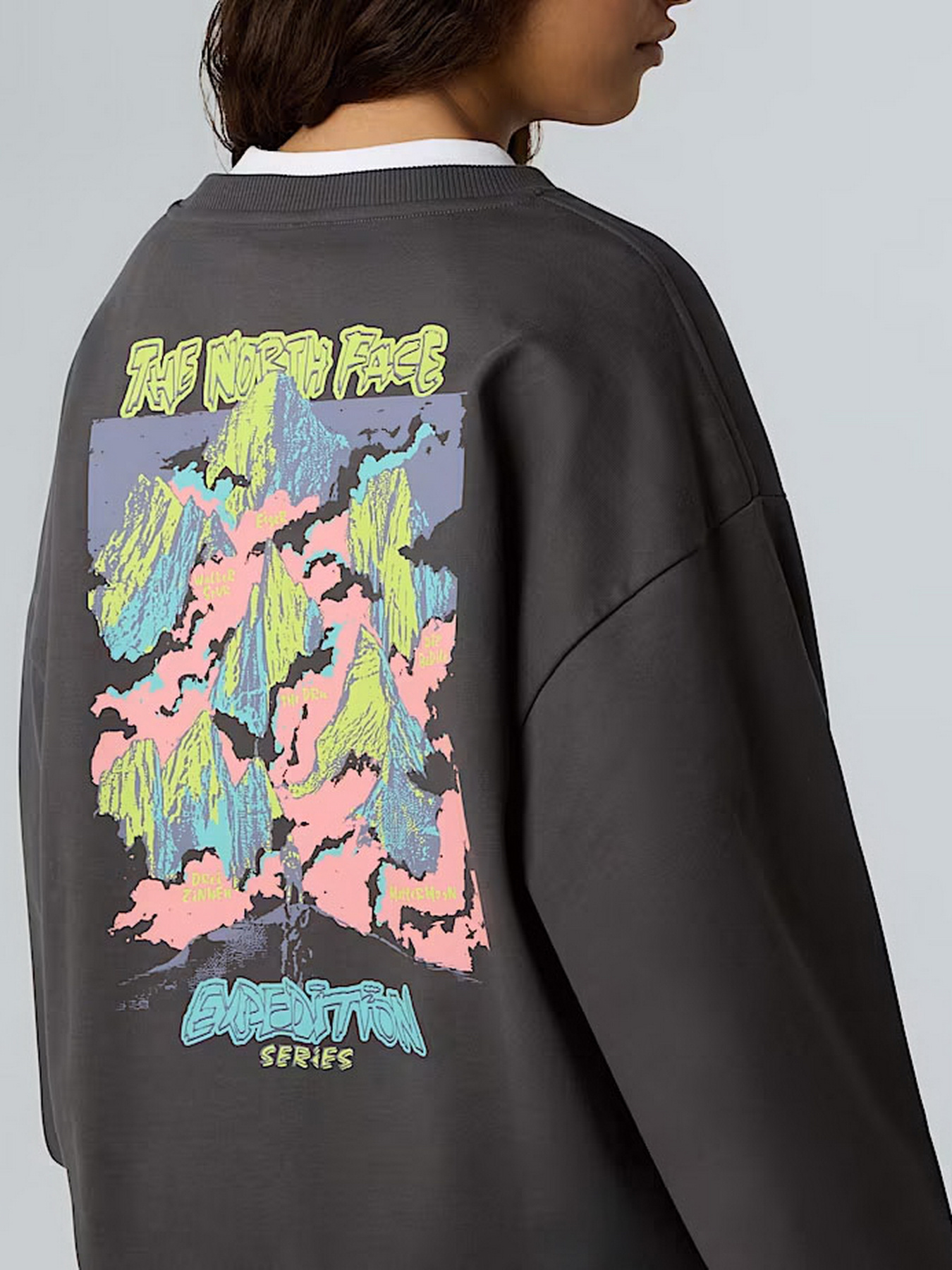 Свитшот The North Face Expedition Celebration модель NF0A8E3GRHI1 Фото